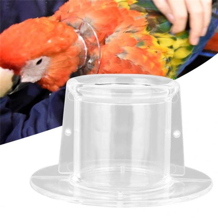 ปลอกคอกันนกสำหรับนกแก้วมีขนกันขนนกสินค้าเกี่ยวกับสัตว์เลี้ยงประเภทปลอกคอสำหรับหนูและนก