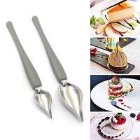 2Pcs Chef Art Pencil Spoon Culinary Drawing Decorating Spoon Precision Painting Plating Spoon for DIY Cake Chocolate Dessert