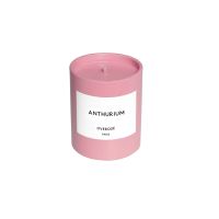 CEINE | OVEROSE Anthurium Pink Candle