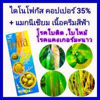 คอปเปอร์ คอปเปอร์น้ำ น้ำครีมสีฟ้า ไดโนโฟกัส 1ลิตร กำจัดเชื้อรา แบคทีเรีย โรคใบติด ใบไหม้ โรคแคงเกอร์ เน่าคอรวง ขอบใบแห้ง ชนิดสัมผัส