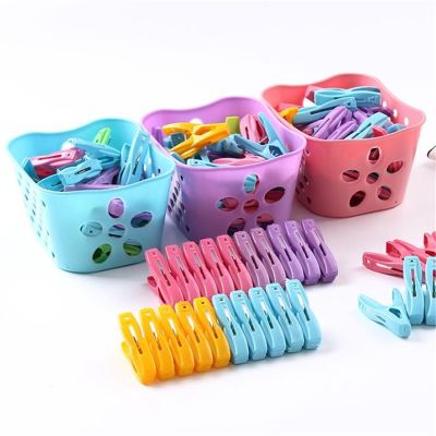 30PCS Plastic Clothes Pegs Laundry Clothespin Clothes Pins Storage Organizer Quilt Towel Clips Spring With Basket Cabides Hanger