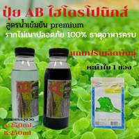 ปุ๋ยไฮโดรโปนิกส์ ปุ๋ยAB ขนาด250ml ปุ๋ยน้ำ ปุ๋ยเอบี ปุ๋ยผักสลัด ปุ๋ยผักHydroponics สูตรปรับปรุงใหม่ ขนาดบรรจุ250ml แถมฟรีเมล็ด คะน้าใบ1ซอง