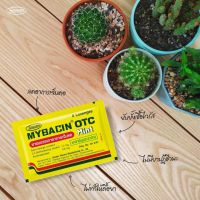 MyBacin เม็ดอม ลูกอมมายบาซิน โอทีซี มิ้นท์ OTC Mint / โธร์ทมิ้นต์ Throat Mint / Zinc Lemon เลม่อน มะนาว บรรเทาระคายคอ