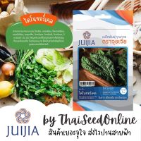 JJ เมล็ดพันธุ์ จุยเจีย ไดโนซอร์เคล คะน้าไดโนเสาร์ เคล ไดโนเสาร์ คะน้า Kale