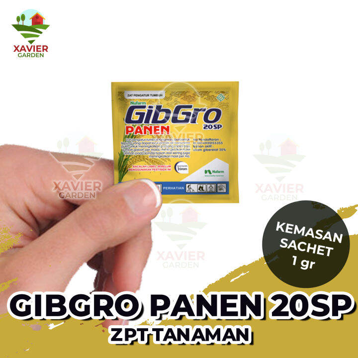 Gibgro Sp Per Sachet Zpt Asam Giberelat Gram Lazada Indonesia