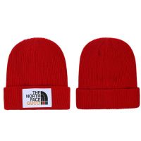 2022 2023 Newest Unisex Casual winter G.u.c.c.i T.h.e N.o.r.t.h F.a.c.e Beanies pullover knitted hat