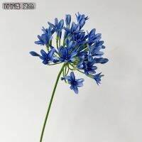 ▦▫○ High-end shooting props simulation Agapanthus flower arrangement landscaping soft decoration wedding wholesale same day delivery art flowers