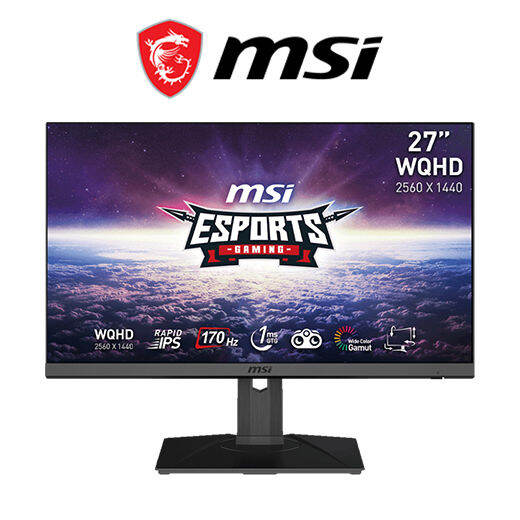 MSI G272QPF Esport Gaming Monitor - 27-inch / WQHD / 170Hz 1ms GTG ...