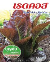 เมล็ดผักสลัด เรดคอส 100 seed (ซื้อ5 แถม1) / เมล็ดพันธุ์ / เมล็ดพันธุ์พืช / เมล็ดผัก คุณภาพดี อัตราการงอกสูง พร้อมคำแนะนำการเพาะเมล็ด