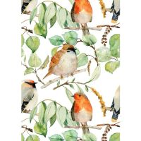 ∋❣﹍ Thicket Birds Self Adhesive Wallpapers Removable Multicolor Sparrow Peel and Stick Wall Stickers for Bedroom Cabin Wall Decor