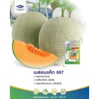 เมล่อน แคท 697 เจียไต๋ Melon เนื้อสีส้มสวย 50เมล็ด