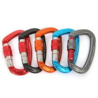 Outdoor climbing multifunctional D-buckle safety main lock hook aluminum alloy mountaineering buckle Accessory