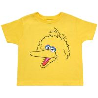 Kids T-Shirt cartoon Sesame Street graphic Tops Boys Girls Distro Age 1 2 3 4 5 6 7 8 9 10 11 12 Years