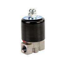 1/8" 1/4" Normally Closed/Open Stainless Steel Solenoid Valve 110V 220V 12V 24V