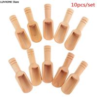 10pcs Mini Wooden Spoon Round Handle Teaspoon Small Salt Shovel Condiment Spoons