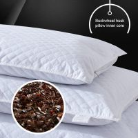 Holaroom-Oreiller de literie pour la protection du cou oreillers en forme de plaid coussin de remplissage de cosse de sarrasin pour la maison le canapé le bureau la sieste le sommeil