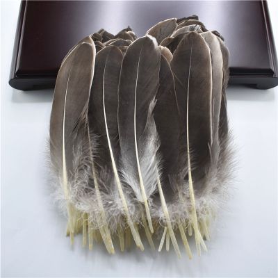 Hard Stick Feathers for 5-7 /12-18cm Feather Decoration Plumas Carnaval Crafts