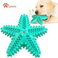 Bite Resistant Dog Toothbrush Starfish Toys Interactive Training IQ Teeth Cleaning Toy Squeaky Puppy Pet Chewing Supplies Tool