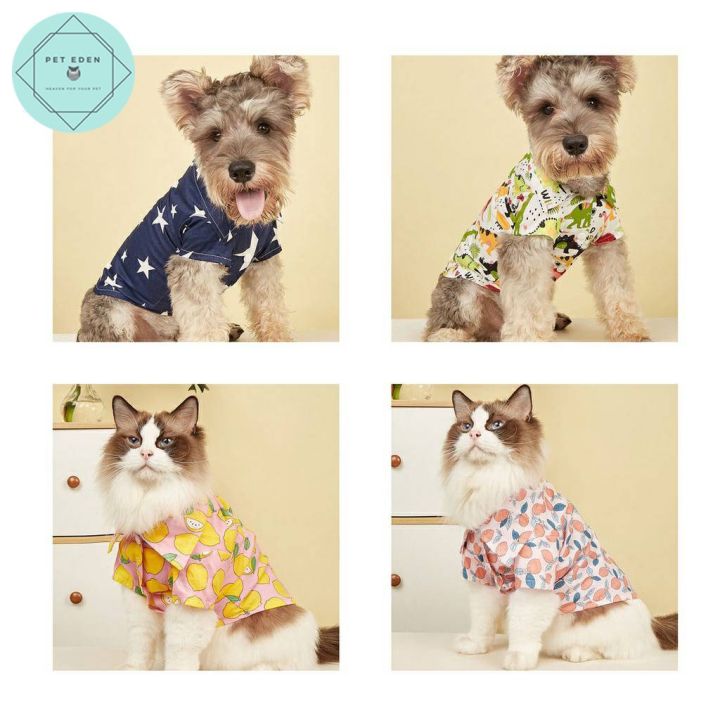 pet-shirt-เสื้อเชิ๊ตสัตว์เลี้ยง-เสื้อหมา-เสื้อแมวยกโหล-เสื้อสุนัข-เสื้อฮาวาย-เสื้อติดกระดุมหมา-เสื้อผ้าหมา-เสื้อผ้าแมว