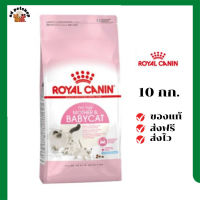 ?ส่งฟรี Royal Canin แม่และลูกแมว สูตร Babycat ขนาดสินค้า 10 kg  เก็บเงินปลายทาง ✨