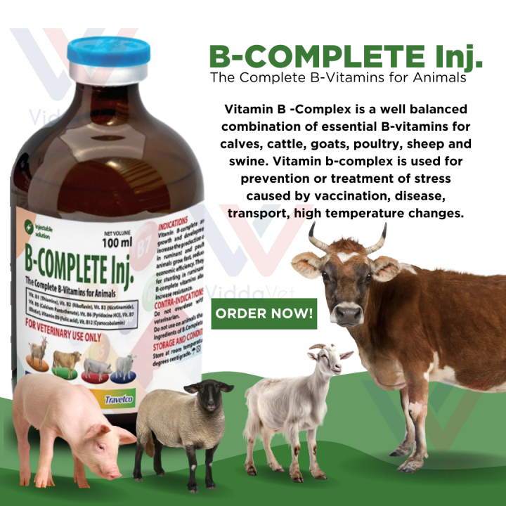 Viddavet vitamin b complete Vitamin b complex brands vitamin b complex