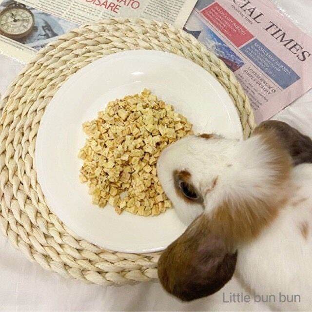 Dried apple cube🍎 natural fruit rabbit chinchilla guinea pig hamster