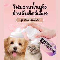 โฟมอาบน้ำแห้ง แชมพูอาบน้ำแห้ง สำหรับหมาแมวและสัตว์เลี้ยง  สูตรอ่อนโยน ขนสวย ไม่มีสารตกค้าง