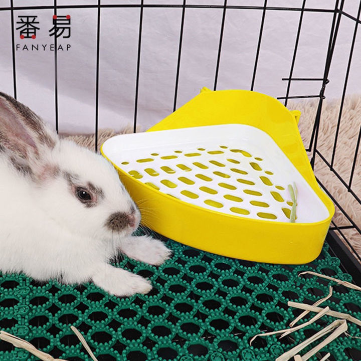 ห้องน้ำกระต่าย-ห้องน้ำหนู-ชินชิล่า-หนูตะเภา-small-pet-rabbit