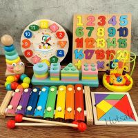 【hot sale】 ✸ C01 [Ready Stock]Early Learning Montessori Wooden Toy Kids Children Early Educational Toys Building Blocks mainan edukasi