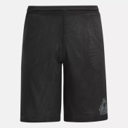 REEBOK QUẦN NAM BASKETBALL ABOVE THE RIM SHORTS 100070442