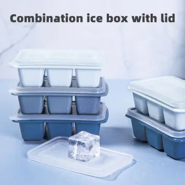 Buy Lattice Silicone Ice Cube Tray with Lid Online SG