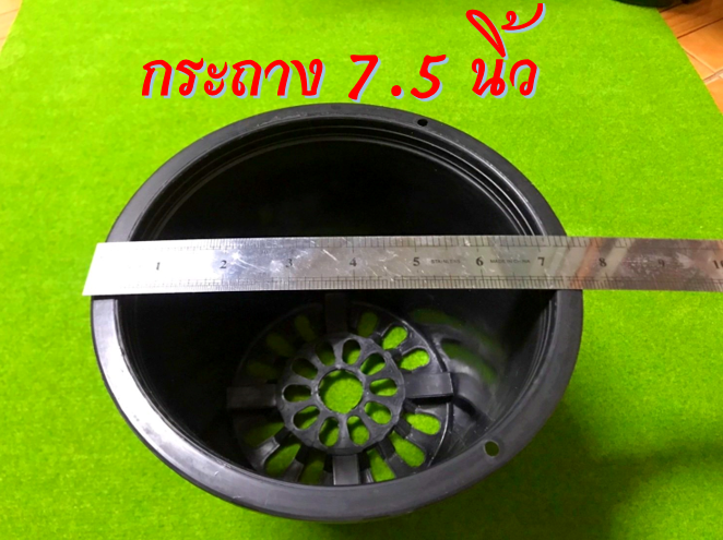 กระถางดำ-ขนาด-7-5-นิ้ว-ใบละ-9-บาท-พลาสติกเนื้อเงา-เนื้อดี-ราคาถูก