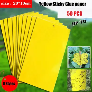 Fruit Fly Trap Yellow Sticky Trap with Twist Tie Plastic Holder - China Fly  Sticky Trap and Sticky Fly Traps price
