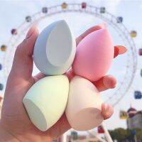 4pcs Makeup Sponge Puff Dry and Wet Combined Beauty Cosmetic Ball Foundation Powder Bevel Cut Make Up Sponge Tools