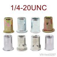 ☂ 1/4-20UNC 250pcs/lot Amercian standard Inch thread Rivet Nut Insert nut Carbon Steel Flat Head Rivet nut Yellow Zinc plated