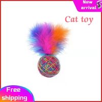 yarn Feather Wool EVA Material Foam Throwing Dog Supplies Colorful