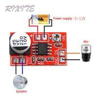 Holiday Discounts! DC 5V-12V Micro Electret Amplifier MIC Condenser Mini Microphone Amplifier Board Volume Adjustable