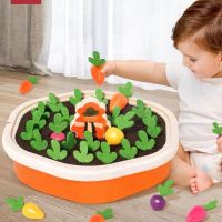 Baby Montessori Toys For Toddler Toys Educational Colorful Shape Toy Pull Carrot Set Counting Discouvery Toys For Kids Learning