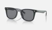 ray-ban RB4391D Discount ของแท้ 100%