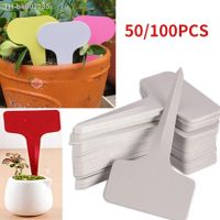 ►◈㍿ 50/100pcs 6x10cm White Plastic PVC Plant T-type Tags Markers Nursery Garden Labels Seedling Tray Pots Decoration