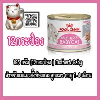 นาทีทอง !!! ส่งฟรี (12กระป๋อง )Royal Canin Mother &amp; Baby Cat Can อาหารเปียกกระป๋อง สำหรับแม่แมวตั้งท้องและลูกแมว อายุ 1-4 เดือน 195 กรัม