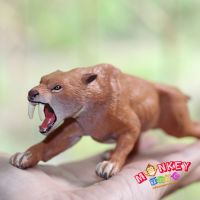 Monkey Toys - โมเดล ไดโนเสาร์ Smilodon ขนาด 15.50 CM (จากหาดใหญ่)