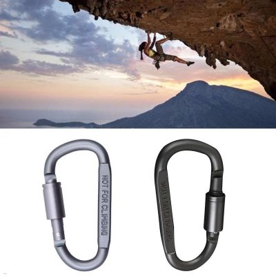 1Pc Camping Keychain D Shaped Carabiner Clip Stainless Steel Buckle Key Chain Outdoor Camping Hiking Lock Accessory