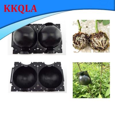 QKKQLA 8cm Fruit Tree Root Box Plant Rooting Ball Case Planter Cases Grafting Rooting Growing Breeding Garden Tools Supplies