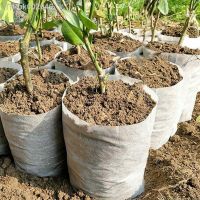 ✟♣ 100Pcs -Degradable Plant Grow Bag Large Capacity Environment-friendly Corrosion Resistant Non-woven Fabric Nursery Bag