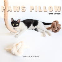 POOCH &amp; PURRR | Paws Pillow หมอนตุ๊กตา ของเล่นแมว ไม้ตกแมว ไม้ล่อแมว