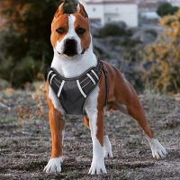 【CW】 Adjustbale Matching Leash Collar Reflective Pet Training Supplies Nylon Big Dog Harness No Pull Medium Large Dog Harness Vest