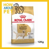 ห้ามพลาด [ลด50%] แถมส่งฟรี อาหารสุนัข Royal Canin สำหรับสุนัขโต พันธุ์ลาบราดอร์ รีทรีฟเวอร์ อายุ 15 เดือนขึ้นไป 12กก. (1ถุง) Royal Canin Labrador R