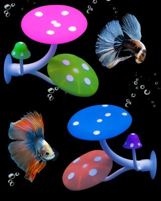 Fish Farming Suction Cup Colour Realistic Decoration Silica Gel Aquarium Mushroom Hammock Fish Tank Landscape