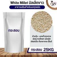 White millet มิลเล็ตขาว อาหารนก กระต่าย หนู กระต่าย กระรอก ชูก้า และสัตว์ฟันแทะ (กระสอบ 25KG)